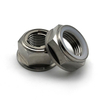 网址-------Titanium Hex Flange Nuts