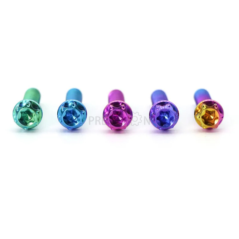 Hayabusa Titanium Bolts
