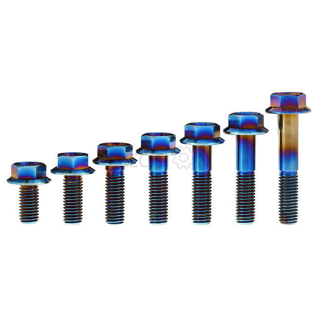 网址-------Titanium Flange Bolts